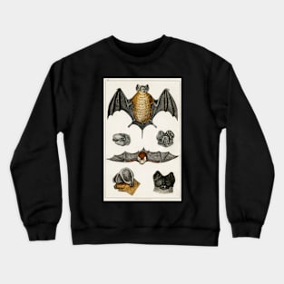 Vintage Bat Crewneck Sweatshirt